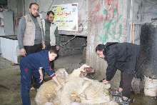 shutterstock_134257640