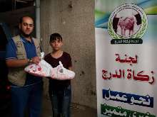 shutterstock_134257640