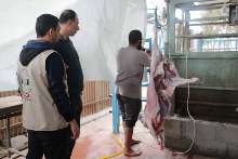 shutterstock_134257640