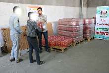 shutterstock_134257640