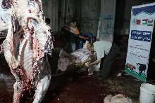 shutterstock_134257640