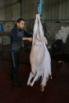 shutterstock_134257640